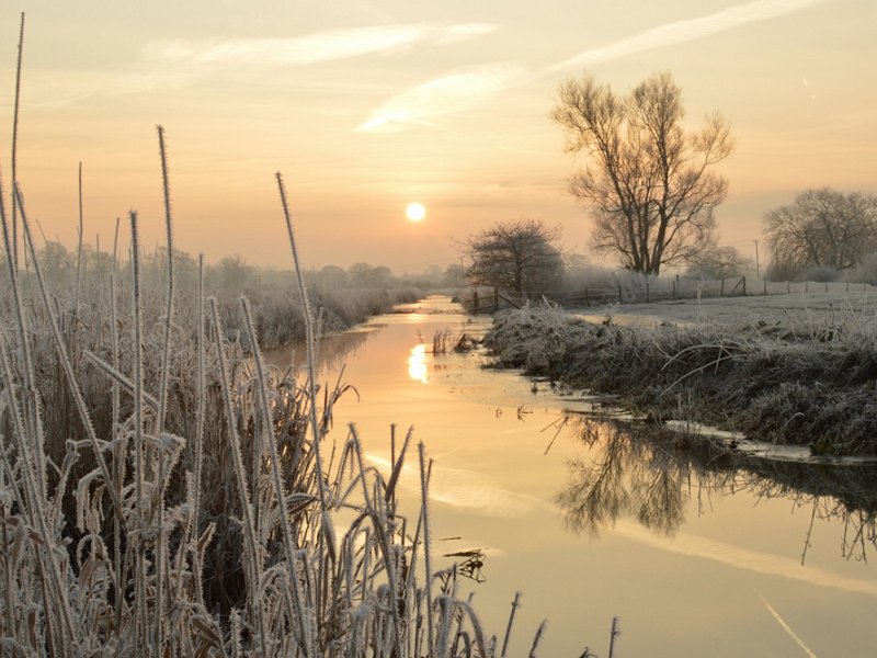 Frosty Adur wins Photo Competition